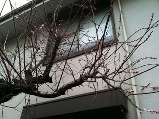 Photo 3月 22, 17 07 47.jpg
