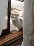 AdobePhotoshopExpress_2013_04_22_23:06:24.jpg