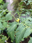AdobePhotoshopExpress_2013_07_14_10:28:57.jpg